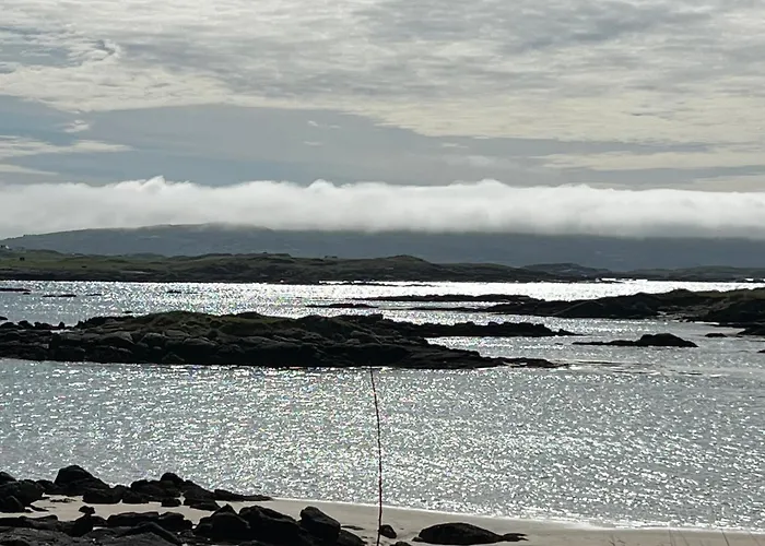 Teach Charlie Anne *